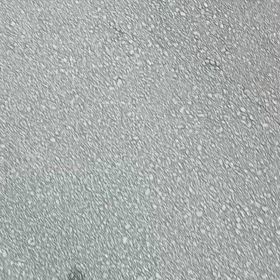 犬との画像