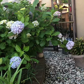 介護問題の画像
