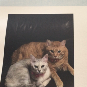 にしきへ  そして愛する者すべてにの画像