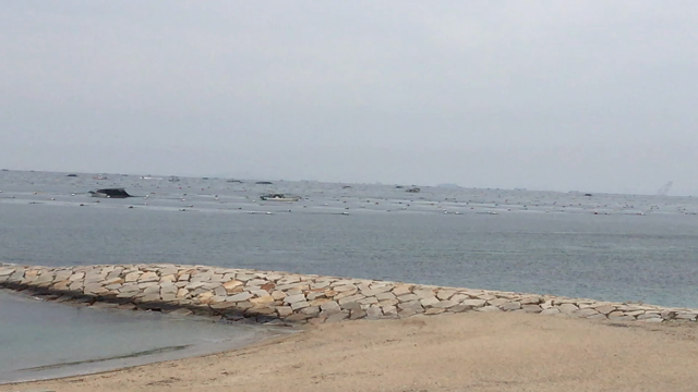 今日の空と海の記事動画