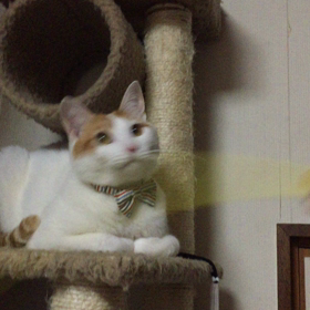 テンション↑↑の画像