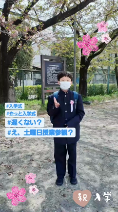 駆け足で参りますε=┌(；・∀・)┘の記事動画