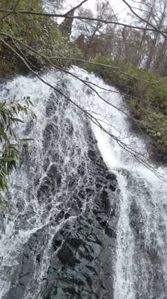 秋田県大館市  にゃごにゃごにゃーご  【全力♥️滝音】七滝御堪能くだされの記事動画