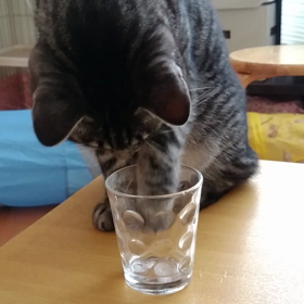 氷の画像