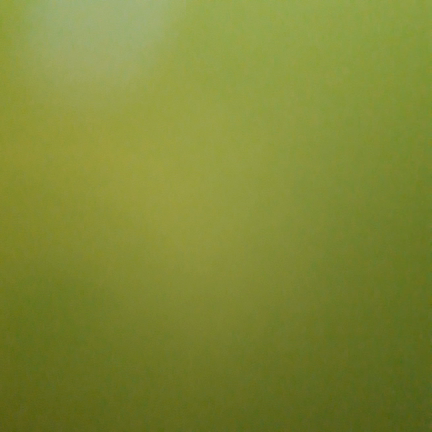 隠し録り。の記事動画