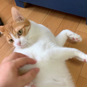 Finallyの画像