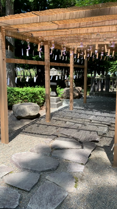 美の神様！パワースポットに夏詣にゃ。の記事動画