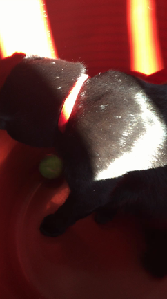 そして、がっちゃん。の記事動画