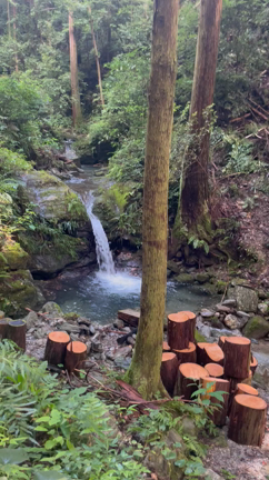 ◆徳島県神山.直感と熱意と人との記事動画