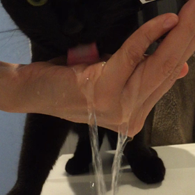 お水の飲み方。の画像