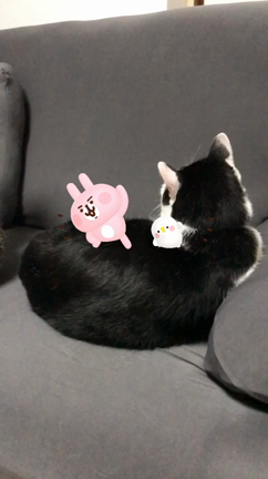 カナヘイARと一緒にの記事動画