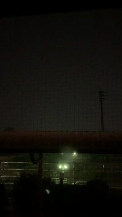 キャットフードのパケ買いの記事動画