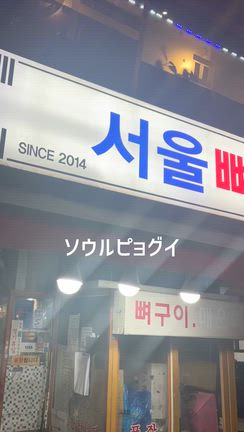姉と韓国旅行　1日目②の記事動画