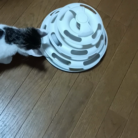 ルナ日記の画像