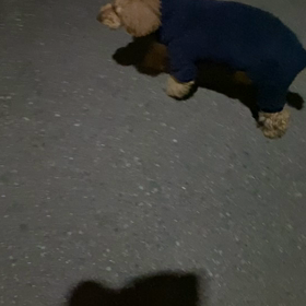 お散歩の画像