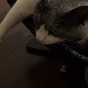 あ〜そうだったの画像