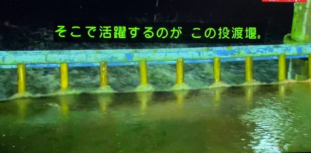 草彅剛くん@ 『ブラタモリ』東京の水は如何にして〜の記事動画