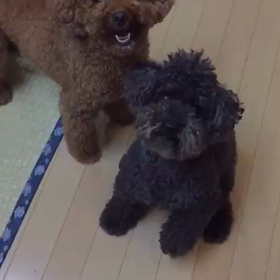 発見でした‼︎の画像