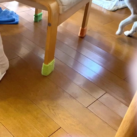 ハウストレーニングの画像