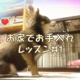 2021/01/31の画像