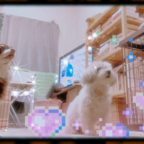 2021/01/15の画像