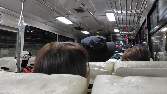 立山黒部アルペンルート全駅間歩き（黒部ダム－室堂）　その８・引退間近のトロリーバスに乗車の記事動画