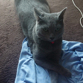 今日のまぉちゃん♪の画像