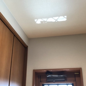 キラキラ癒しの画像