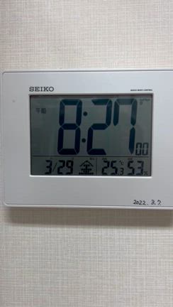 20240329おび内科、漢方クリニック雨漏り日記の記事動画