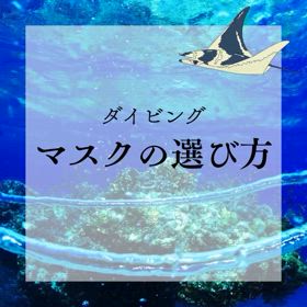 2025/04/03の画像