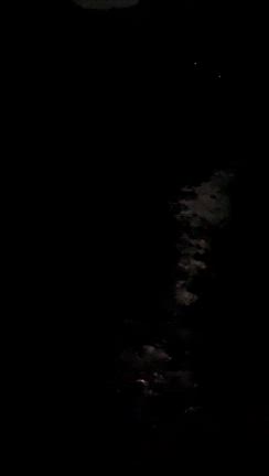 ごろぉの釣果情報！の記事動画