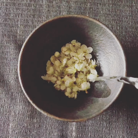 梅花茶の画像