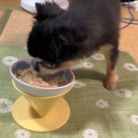 ”うちのわんこ（ひなちゃん）のご飯の器(^O^)／”の画像