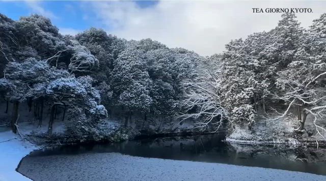 チョコレートの余韻を完成させる「冬の紅茶」の記事動画