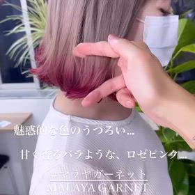 2024/10/19の画像