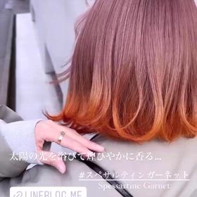 2024/09/25の画像