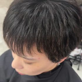 2024/11/15の画像
