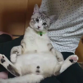 男子がふたり(  -_・)？のサムネイル画像