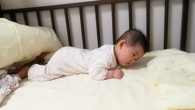 たまらん！！とやめられないもの＊の記事動画