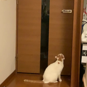 1/21のなぁ〜じゅは中止ですm(_ _)mの画像