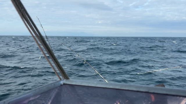キハダキャスティング船の記事動画