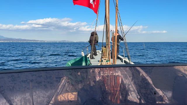 クロマグロの記事動画