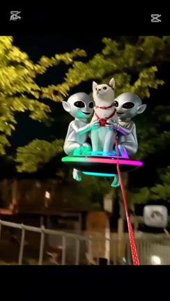 今日、行ってくるよ〜٩( 'ω' )وの記事動画