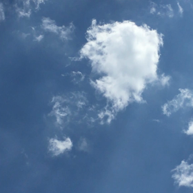 空の下での画像