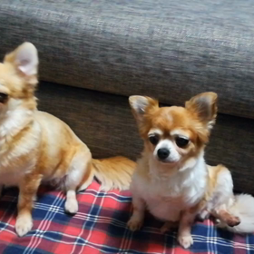 家族の画像