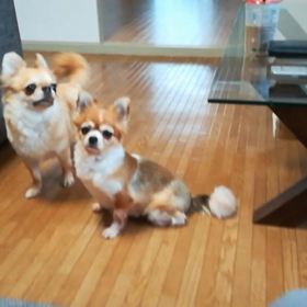 遊んで遊んでの画像