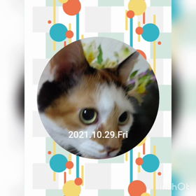 今日はホームビデオ記念日の画像