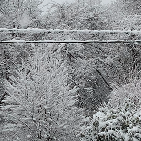 今日も大雪！の画像