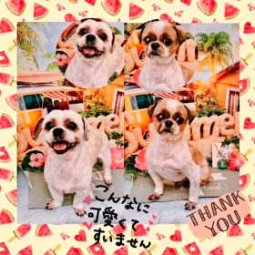 2024/07/31の画像