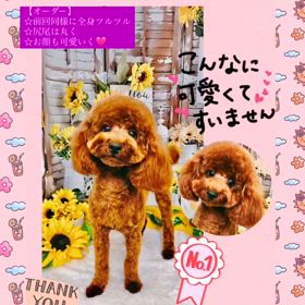 2024/08/10の画像